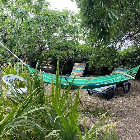 Apartment In Under Grand Palm Tree & Garden Porto Alabe