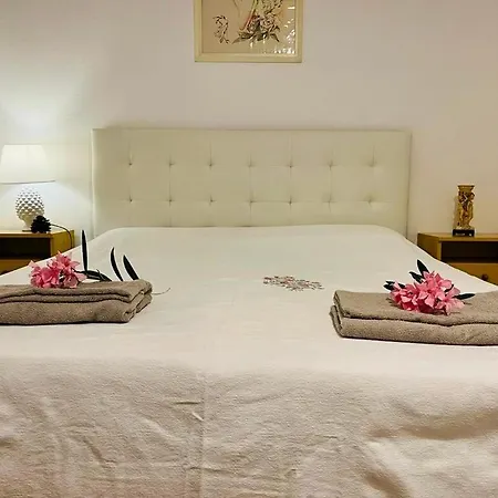 아파트 In Under Grand Palm Tree & Garden Porto Alabe