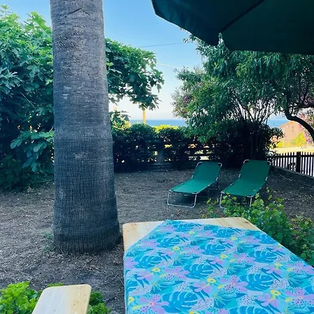 In Under Grand Palm Tree & Garden Porto Alabe