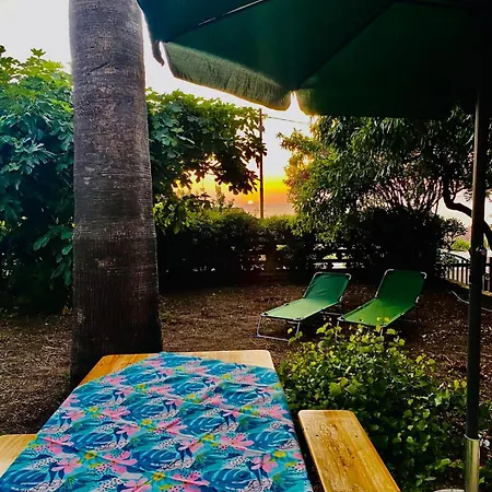In Under Grand Palm Tree & Garden *