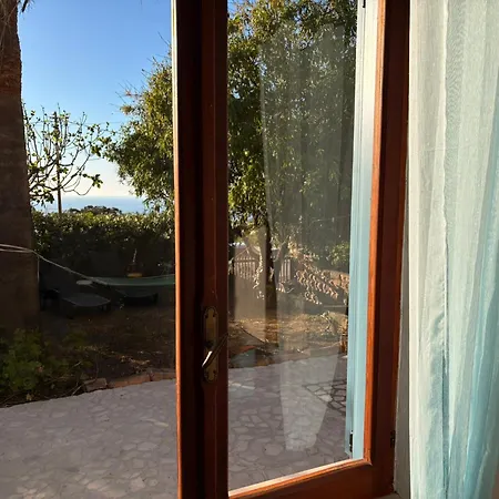 Apartamento In Under Grand Palm Tree & Garden