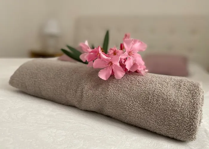 In Under Grand Palm Tree & Garden Апартаменты